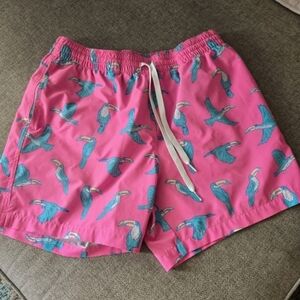 Chubbies TOUCAN SHORTS